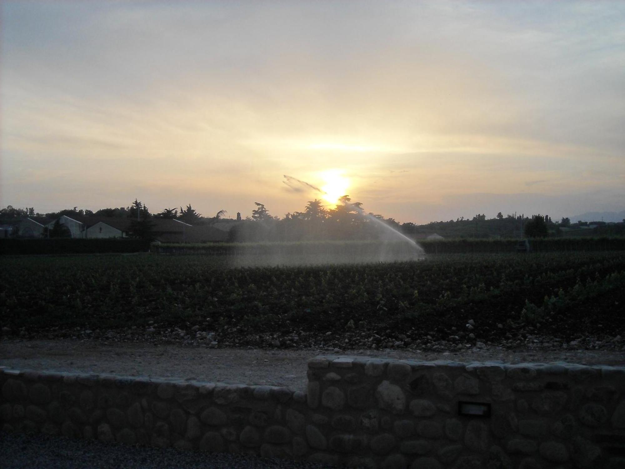 Agriturismo Le Campagnole 바르돌리노 외부 사진